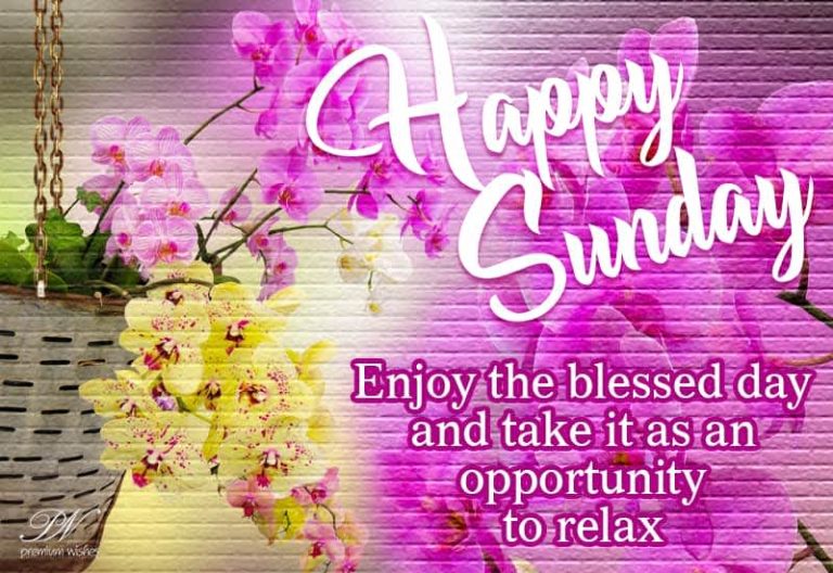 Happy Sunday – Enjoy the blessed day and take it as an opportunity to relax