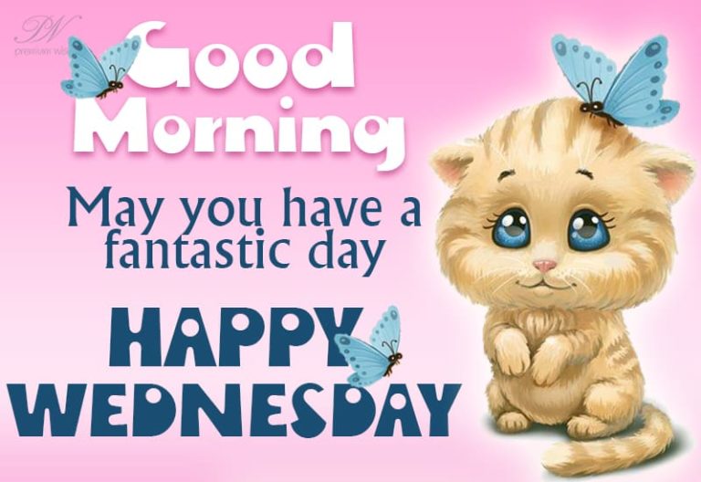 Good Morning – May you have a fantastic Wednesday