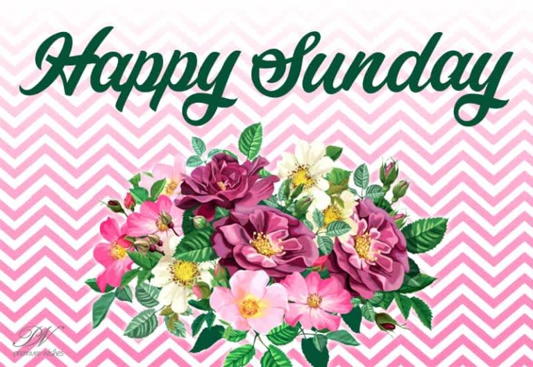 Happy Sunday – Have Fun