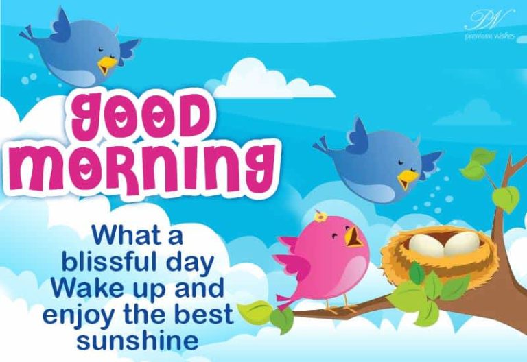 Good Morning – What a beautiful day – Wake up and enjoy the morning sun