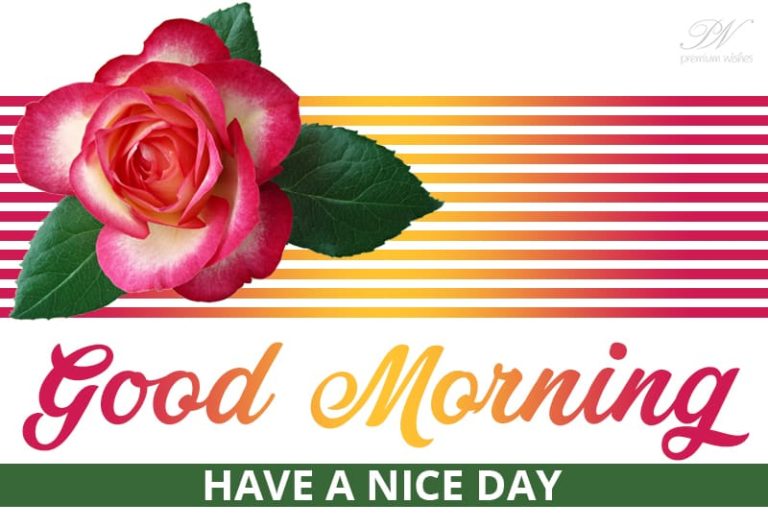 Good Morning Have a nice day