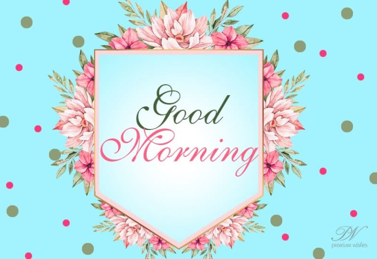 Friends Good Morning – Wishing you a great day