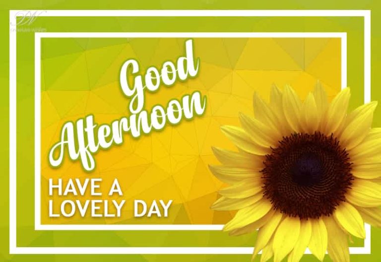 Good Afternoon Wishes