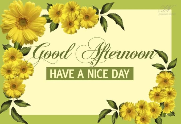 Good Afternoon Wishes