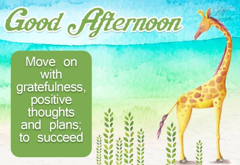 Good Afternoon Wishes