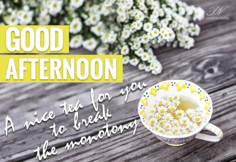 Good Afternoon Wishes