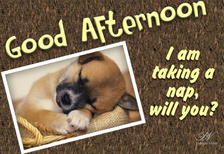 Good Afternoon Wishes
