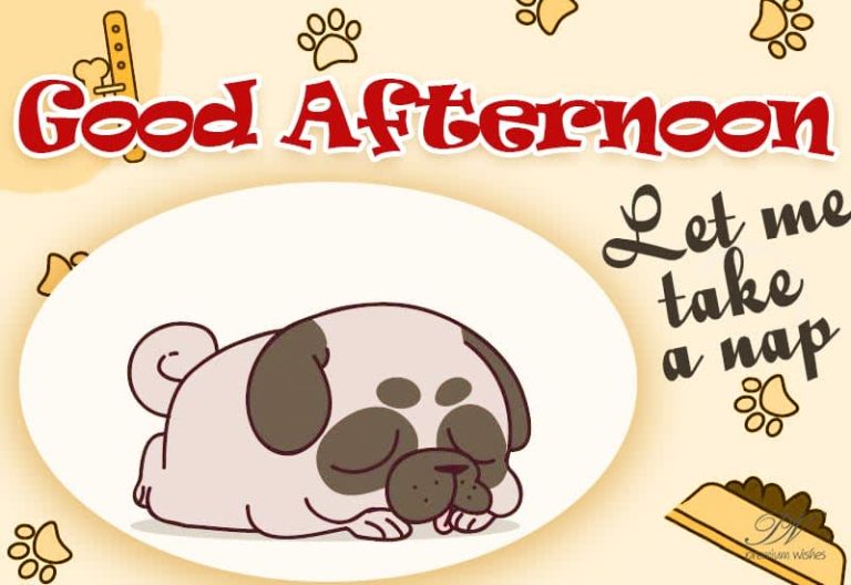 Good Afternoon Wishes