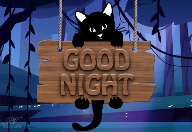 Good Night Wishes