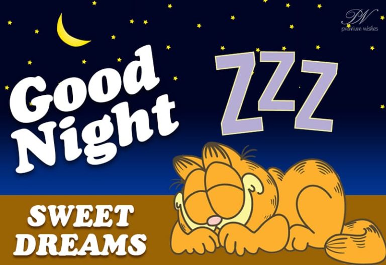 Good Night Wishes