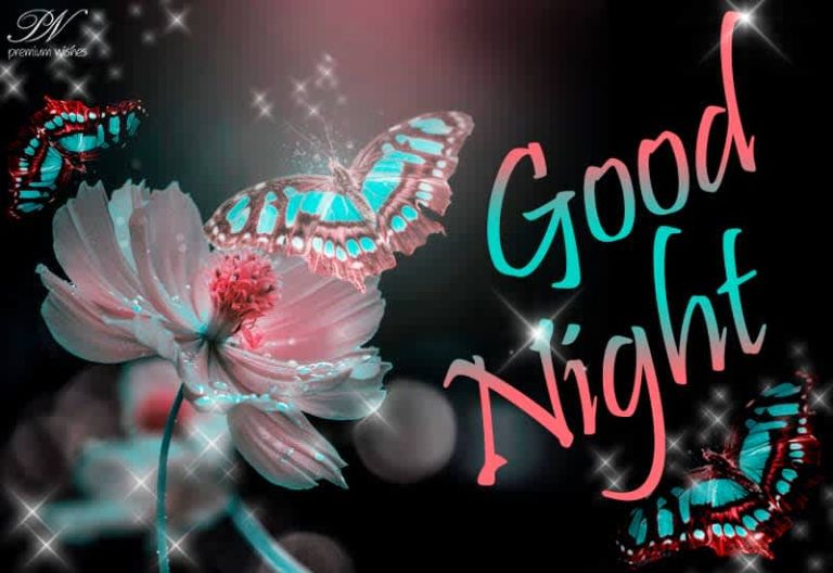 Good Night Wishes