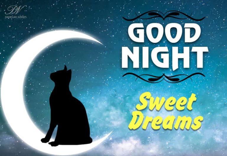 Good Night Wishes