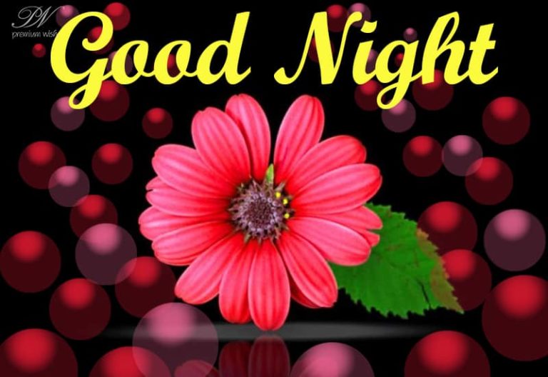 Good Night Wishes