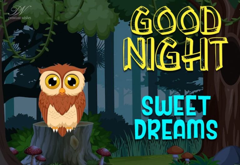 Good Night Wishes