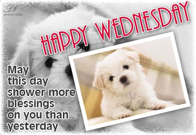 Happy Wednesday – May this day shower more blessings on you than yesterday Happy Wednesday – May this day shower more blessings on you than yesterday