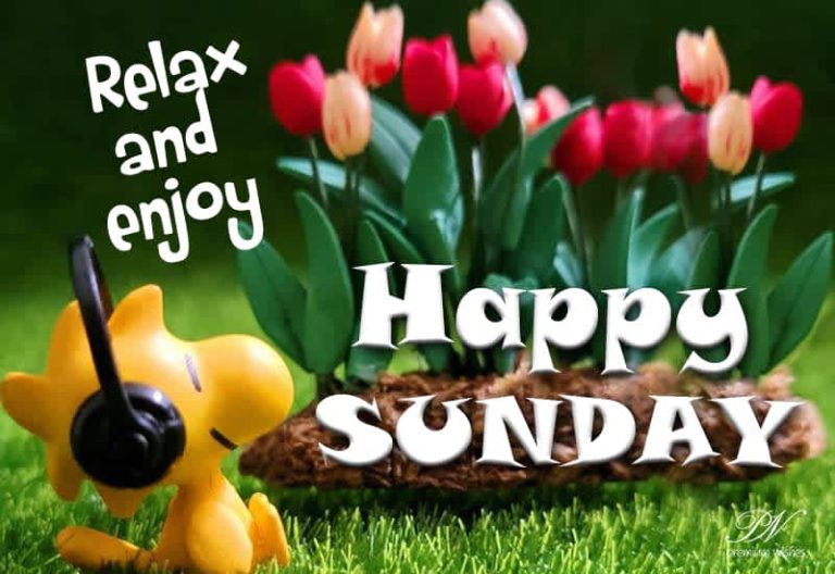 Relax and enjoy – Happy Sunday Relax and enjoy – Happy Sunday