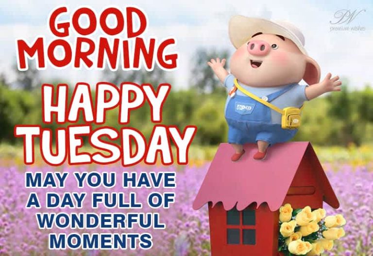 Good Morning – Happy Tuesday – May you have a day full of wonderful moments