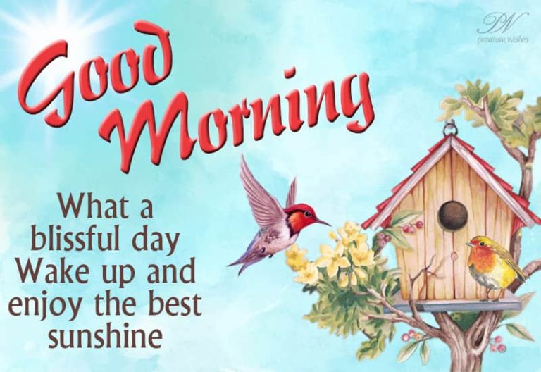 Good Morning – What a blissful day – Wake up and enjoy the best sunshine