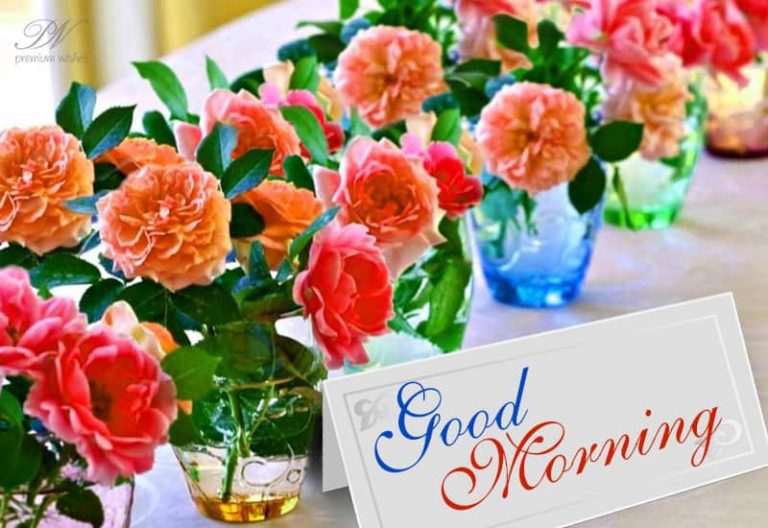 Enjoy the flowers – Good Morning- Have a great day ahead Enjoy the flowers – Good Morning- Have a great day ahead