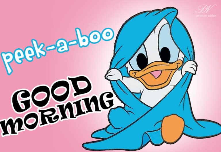Good Morning – Peek a boo – Friends Get Up and Enjoy The Morning Today Good Morning – Peek a boo – Friends Get Up and Enjoy The Morning Today