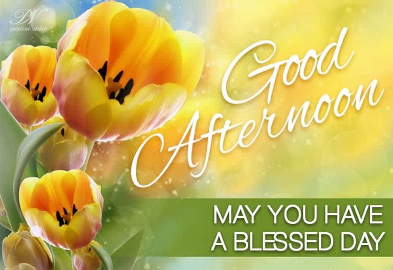 Good Afternoon Wishes