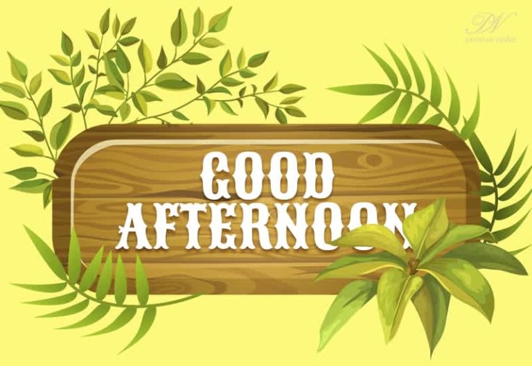 Good Afternoon Wishes