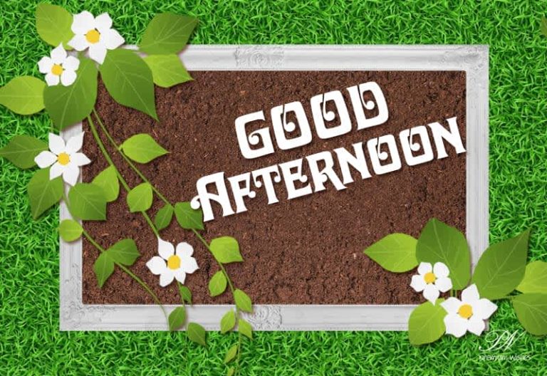 Good Afternoon Wishes