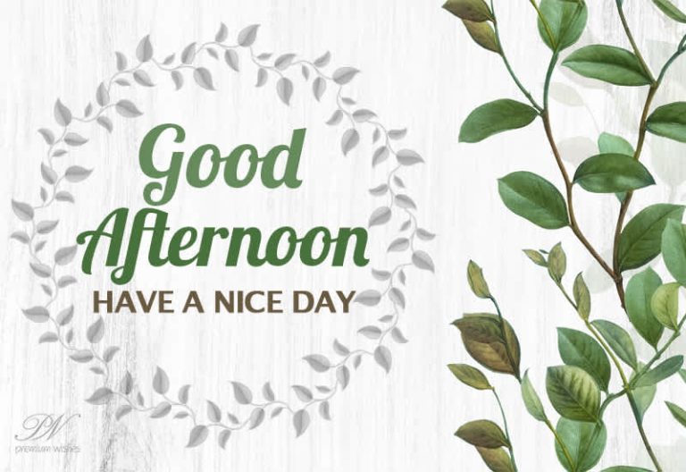 Good Afternoon Wishes