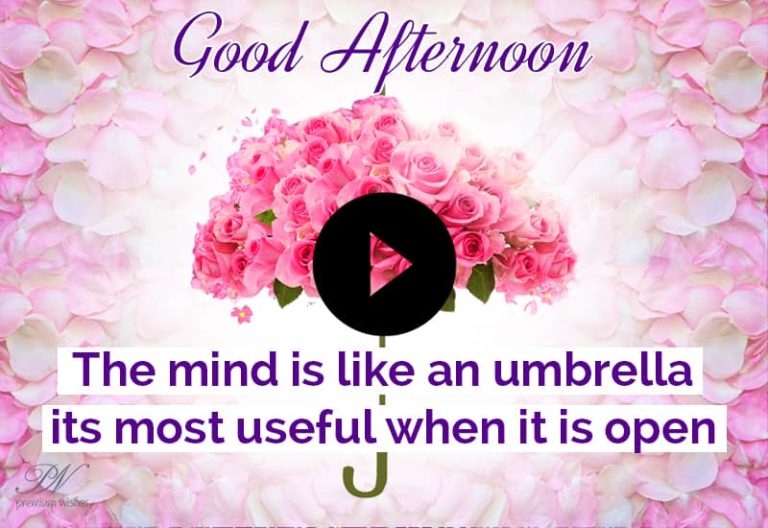 Good Afternoon Video with Flowers , Afternoon Greetings and Wishes