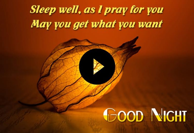 Good Night Video – Good Night Whatsapp Status Video – Sleep Well Video