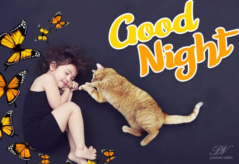 Good Night Wishes