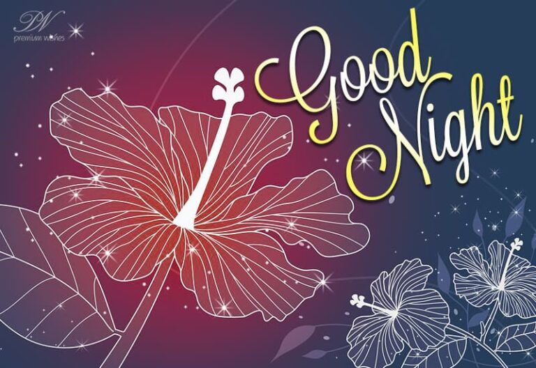 Good Night Wishes