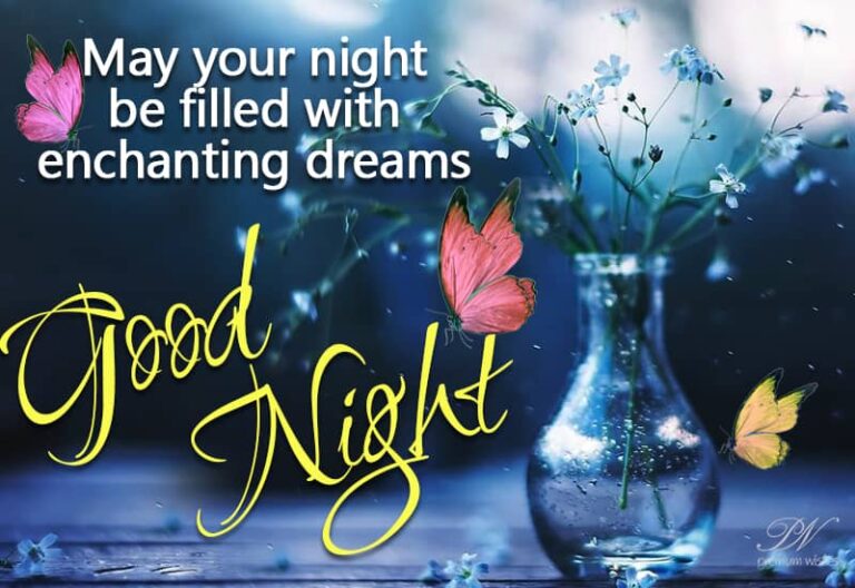Good Night Wishes