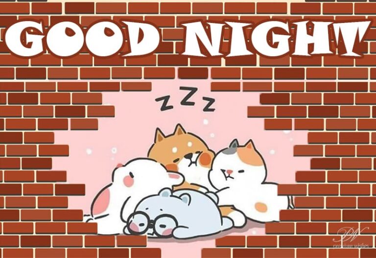 Good Night Wishes