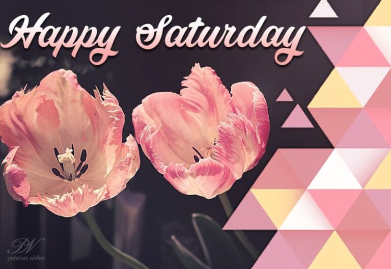 Happy Saturday – May you spend the day well Happy Saturday – May you spend the day well