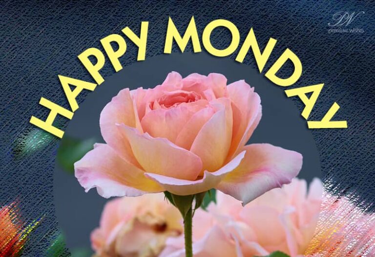 Happy Monday – Sending you roses wishing you a great week ahead