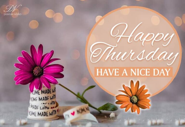 Happy Thursday  – Have a nice day