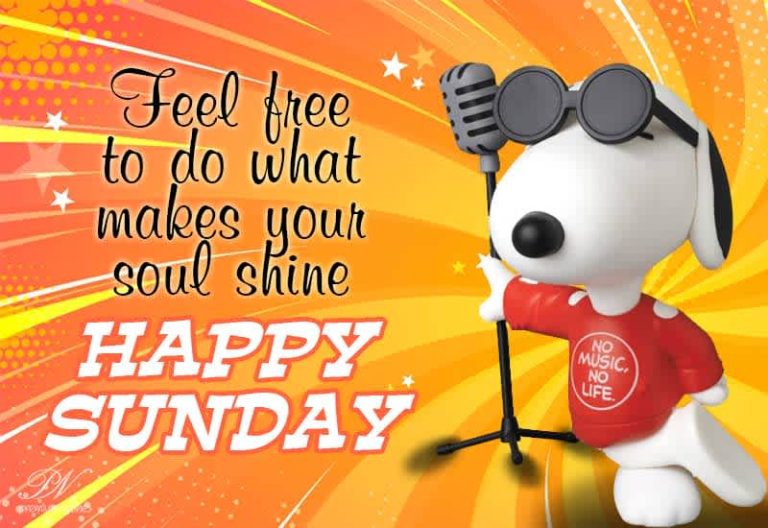 Feel free to do what makes your soul shine – Happy Sunday Feel free to do what makes your soul shine – Happy Sunday