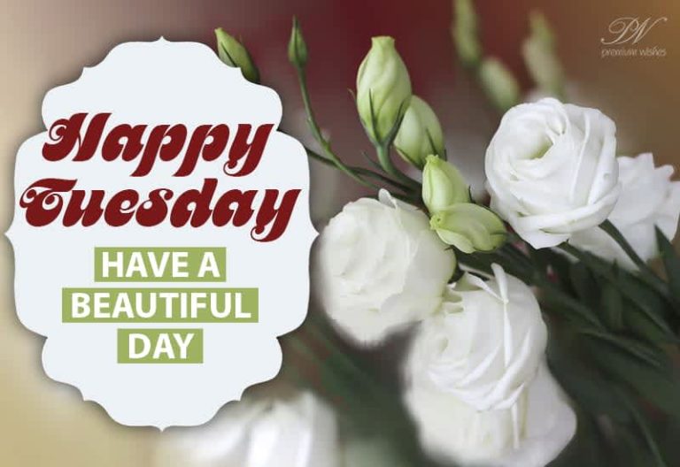 Have a beautiful and happy Tuesday