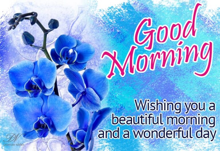 Good Morning – Wishing you a beautiful morning and a wonderful day
