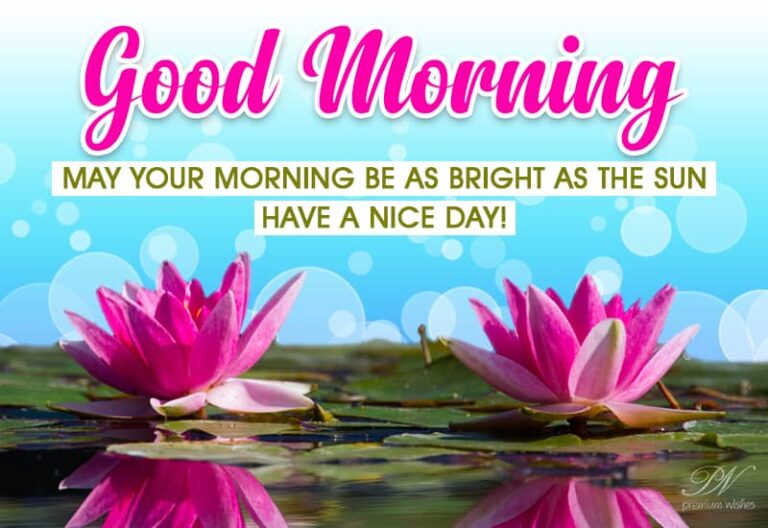 Good Morning – May your morning be as bright as the Sun. Have a nice day
