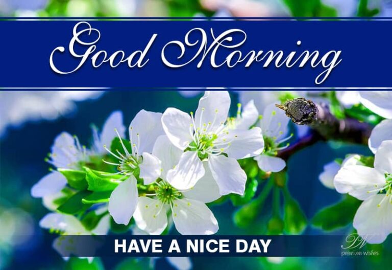 Good Morning – Have the nicest day today