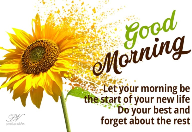 Good Morning – Let your morning be the start of your new life. Do your best and forget about the rest