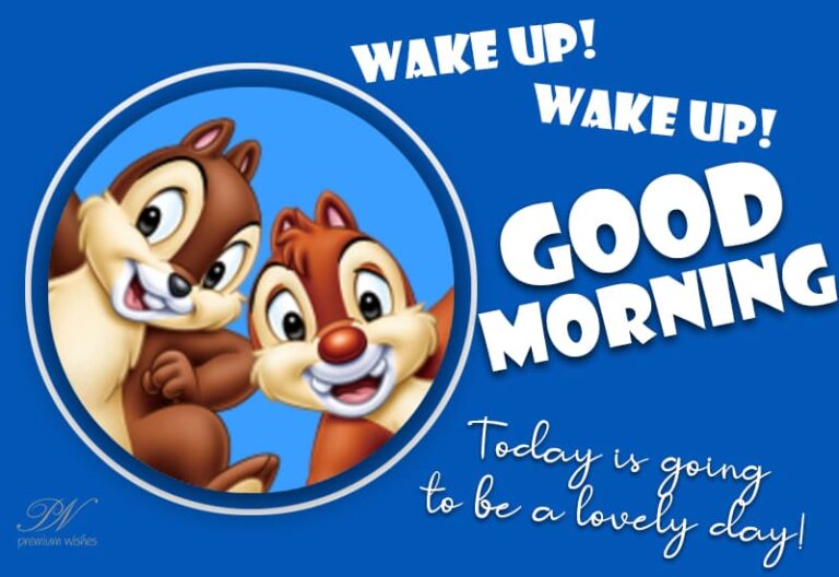 Wake up – Wake Up – Good Morning – Today is going to be a lovely day