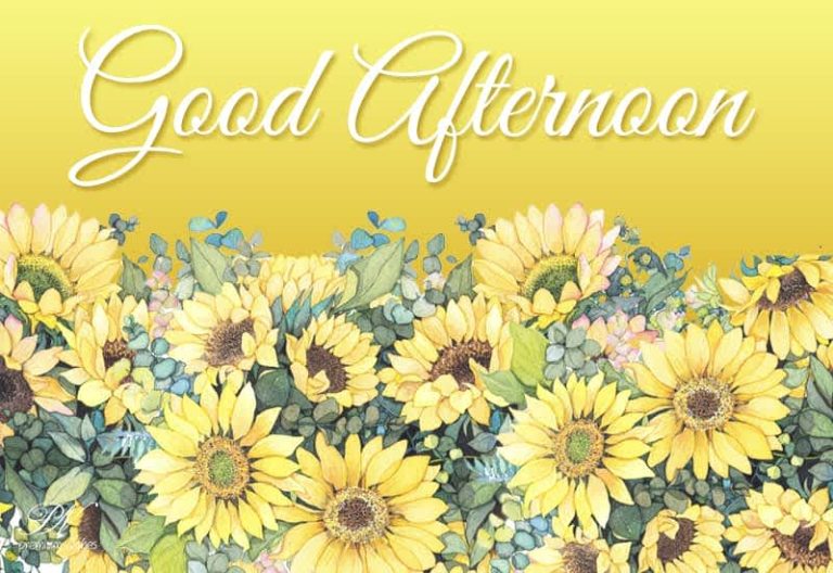 Good Afternoon Wishes