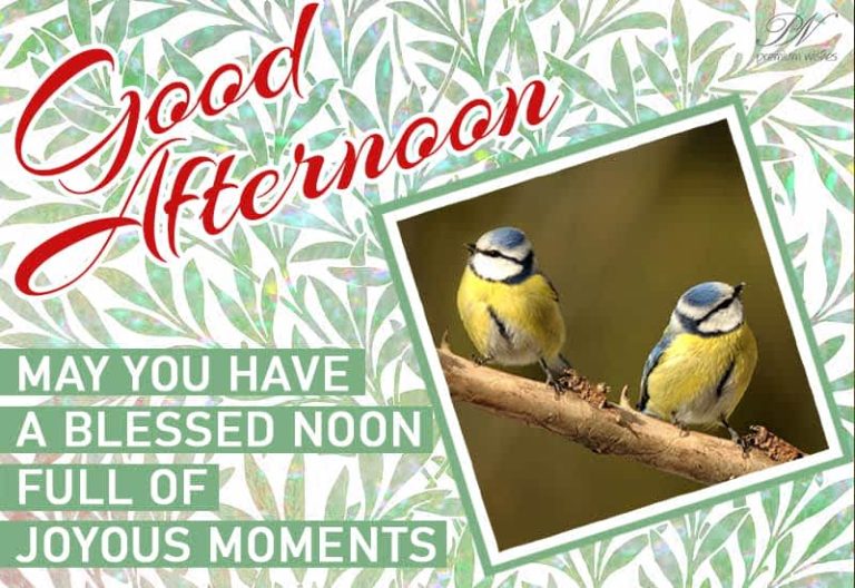 Good Afternoon Wishes