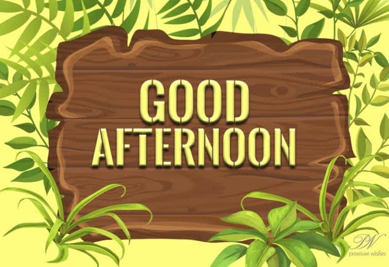 Good Afternoon Wishes