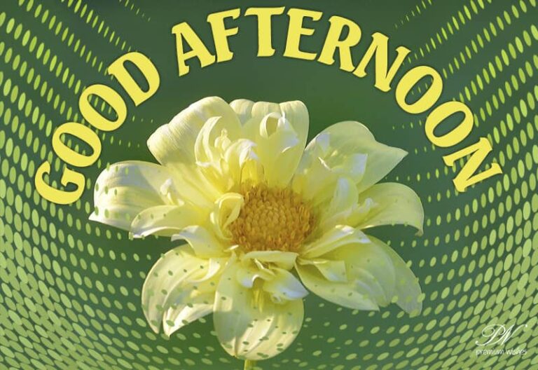 Good Afternoon Wishes