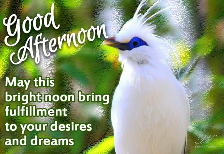 Good Afternoon Wishes