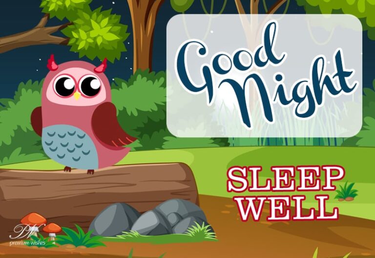 Good Night Wishes